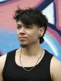Ary Hougron