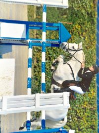 à cheval 2