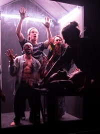 Stupid F*cking Bird, The New Theatre