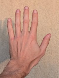 Main gauche dos