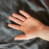 4dee9c10-95e3-4c31-9c3e-230c30292f9f.jpg