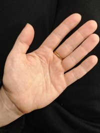 6b5de0b5-4e33-48a0-bd02-ed11aa5b9b3e.jpg