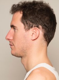pola profil