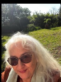 sunny day