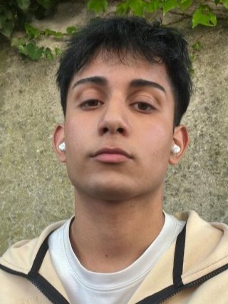 darius damian stoican