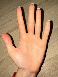 Main dos