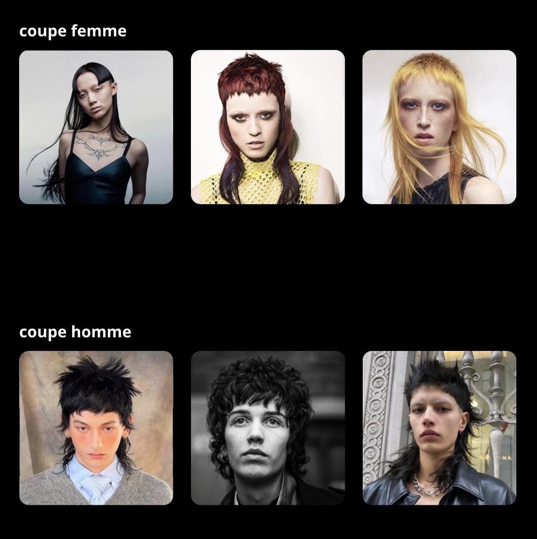 Modèle coupe show