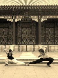Kung-fu, juillet 2015