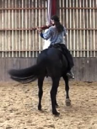 Lucie Lebey