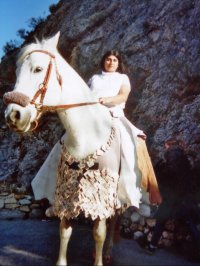 Sharon alfassi