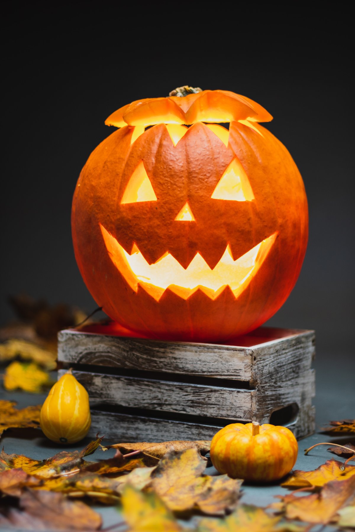 Maitre de cérémonie - Évènement Éphémère Halloween