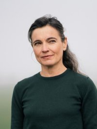 @Mikael Lafontan