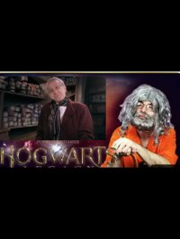 LE JOUEUR DU GRENIER. Chaîne Youtube. Je joue Ollivander le fabriquant de baguettes magiques. VOIR LA VIDÉO SUR YOUTUBEMON SITE