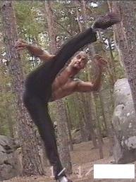 Ninja Forest aventure