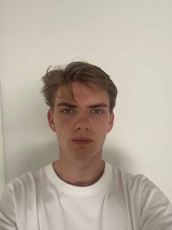 Timothé Hoyer 