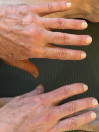 PJC HANDS